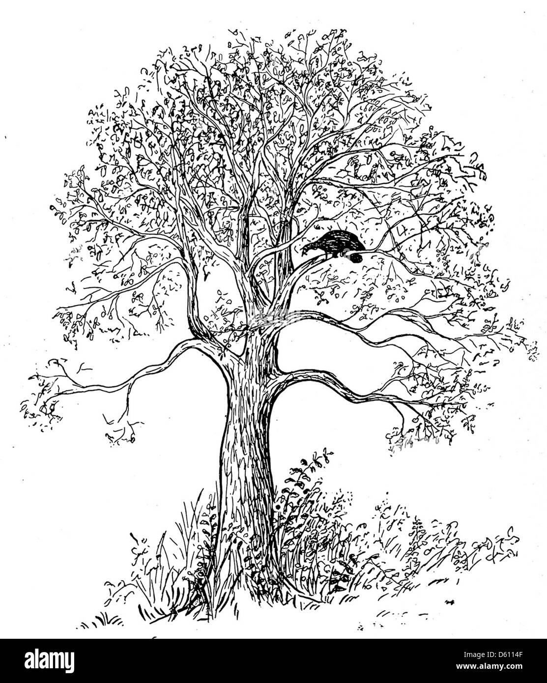 Une illustration de l'édition de 1906 de 'A Little Book of Home and Country verse', mettant en valeur les thèmes pastoraux et sereins souvent trouvés dans la poésie country. L'image reflète la simplicité et la beauté de la vie rurale, accompagnée de versets célébrant la nature et la vie à la maison. Banque D'Images