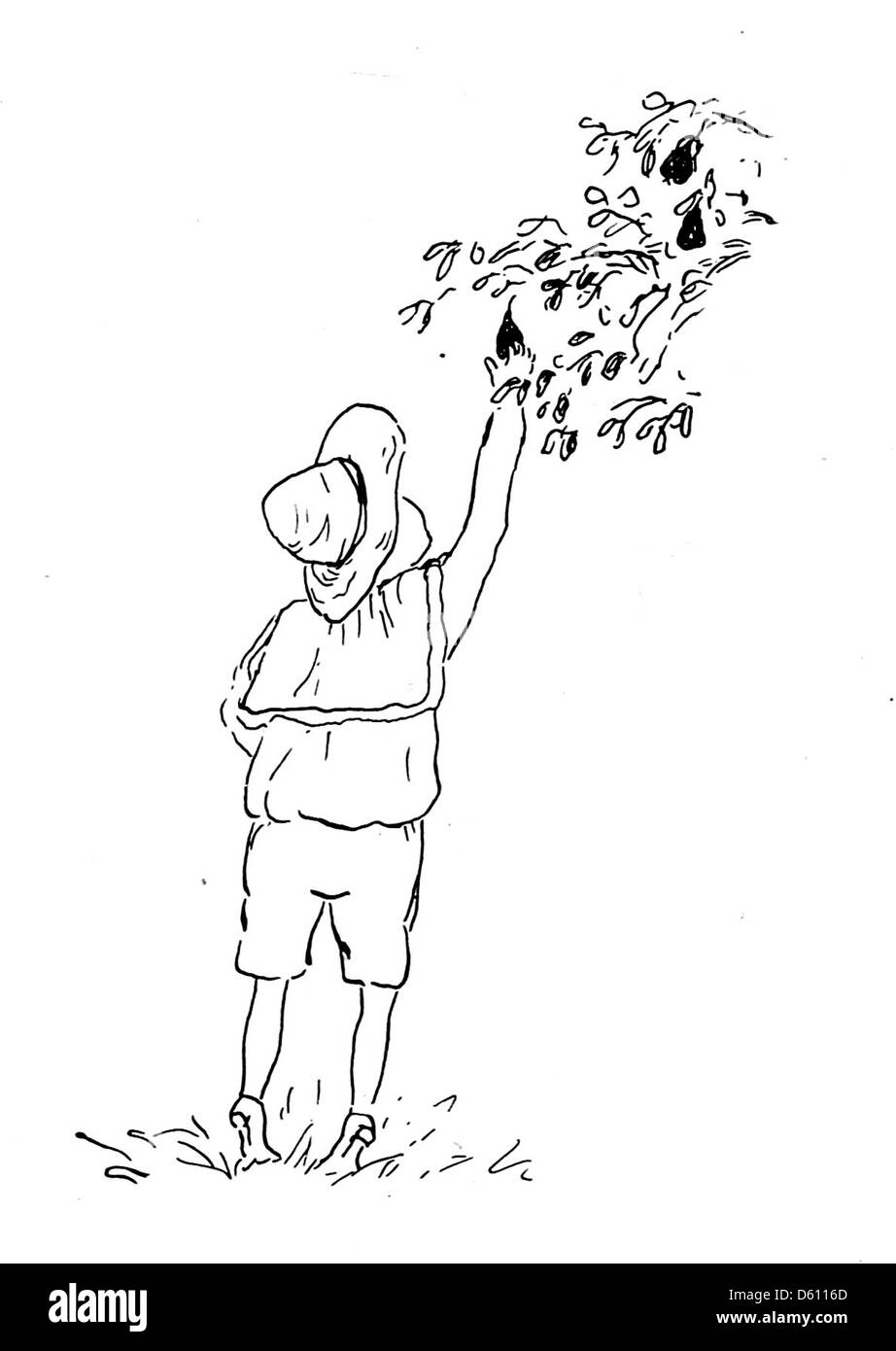 Une illustration tirée de 'A Little Book of Home and Country verse' (1906), représentant des scènes paisibles de la vie rurale. L'image capture la simplicité et la beauté de la vie à la campagne comme en témoigne la poésie de l'époque. Banque D'Images