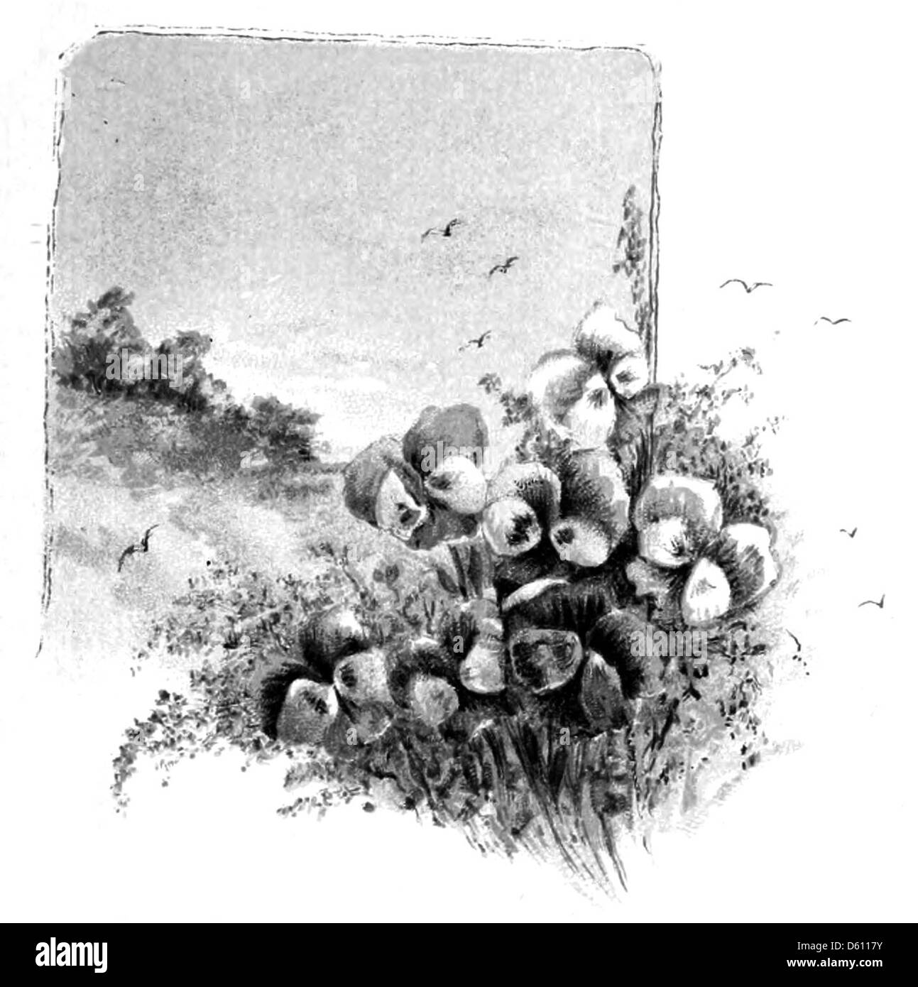 Cette illustration de 1888 représente un petit oiseau, symbolisant la joyeuse célébration d'un anniversaire. L’illustration ajoute une touche ludique et naturelle au concept de fête d’anniversaire à la fin du XIXe siècle. Banque D'Images