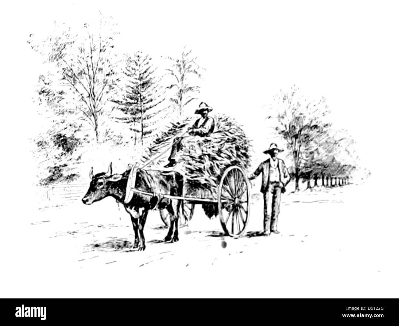 Un manuel du Sud (1890) Banque D'Images