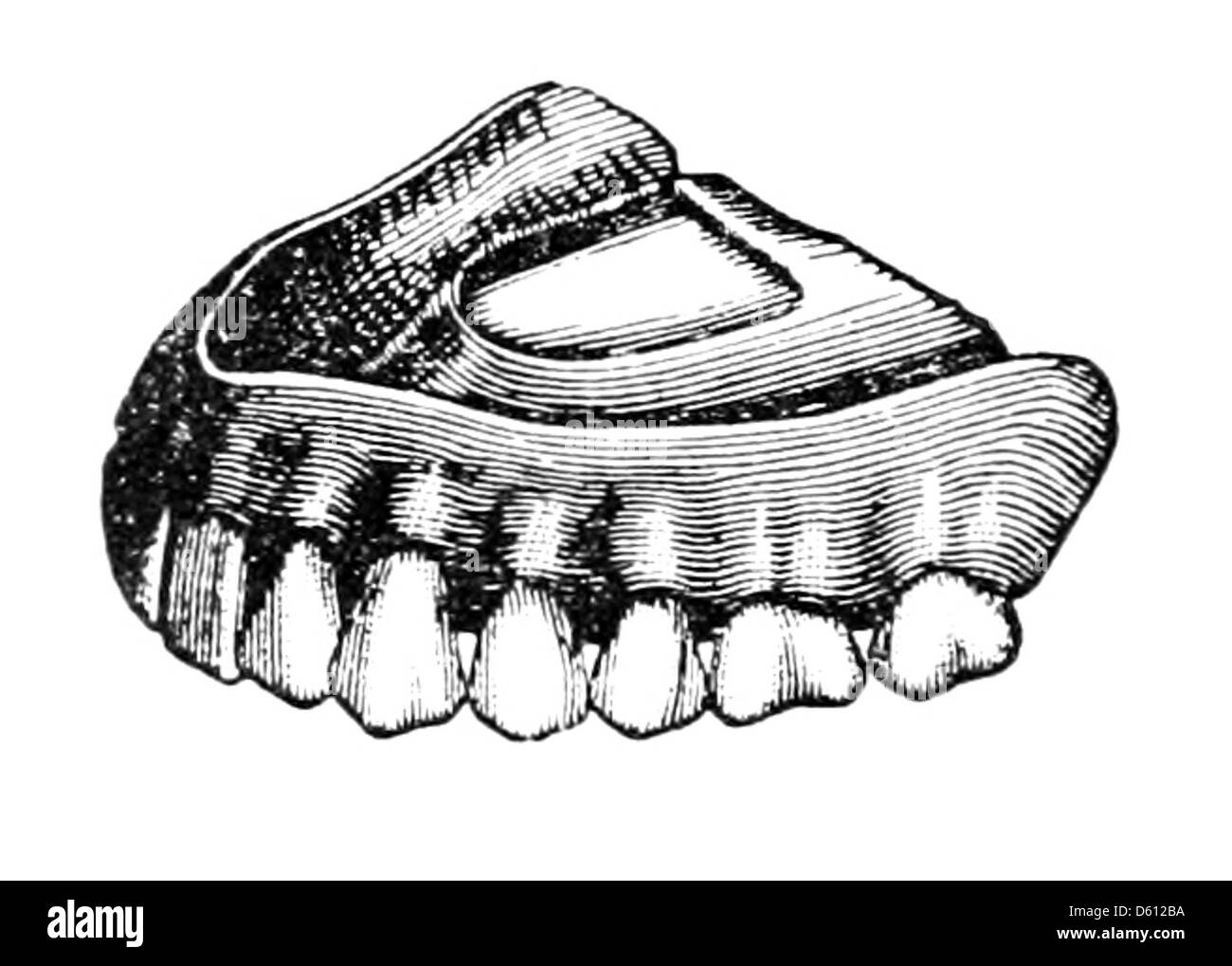 Un guide de Marblehead, une ville côtière du Massachusetts, publié en 1881, fournissant probablement des informations historiques, culturelles et touristiques. L'image souligne l'histoire de la ville et son importance en tant que lieu maritime. Banque D'Images