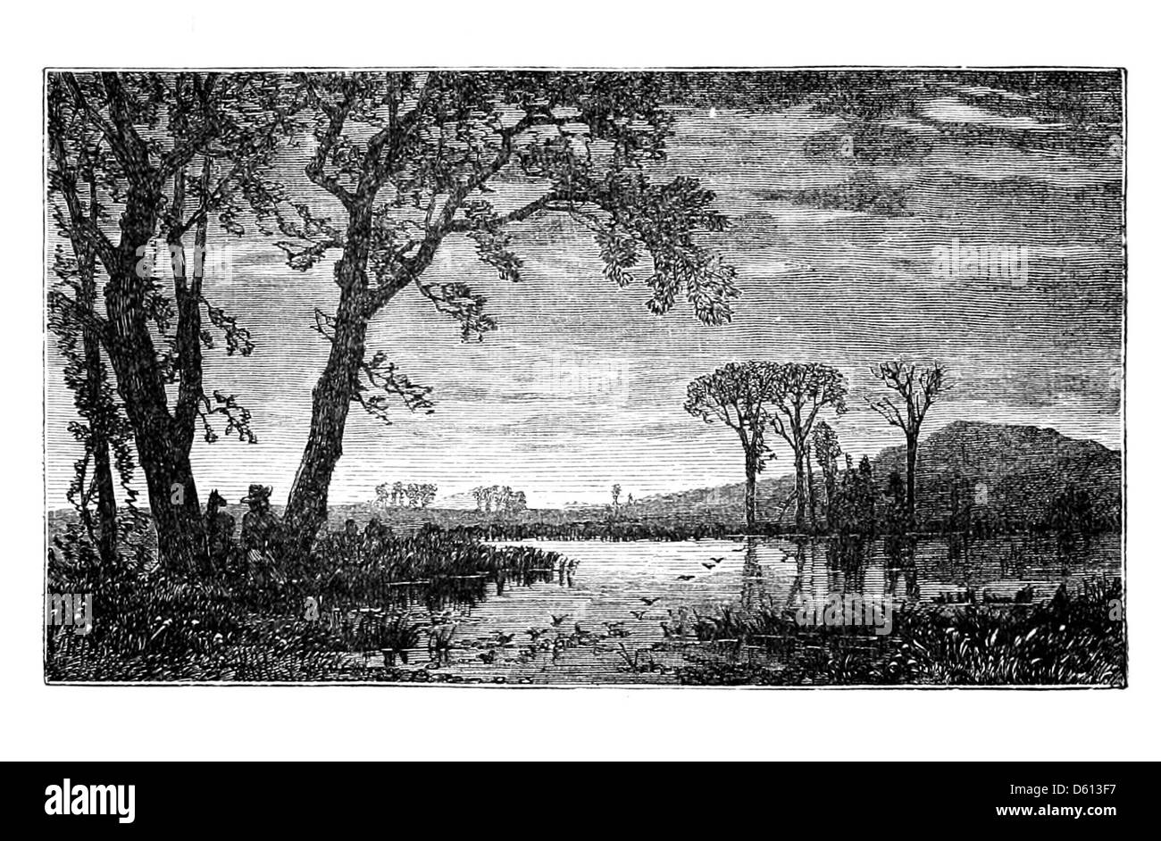Cette image de la publication de 1876 'A Festival of Song' représente un troupeau serein d'oiseaux au bord d'un étang paisible. La scène naturelle reflète le ton poétique de l’œuvre. Banque D'Images