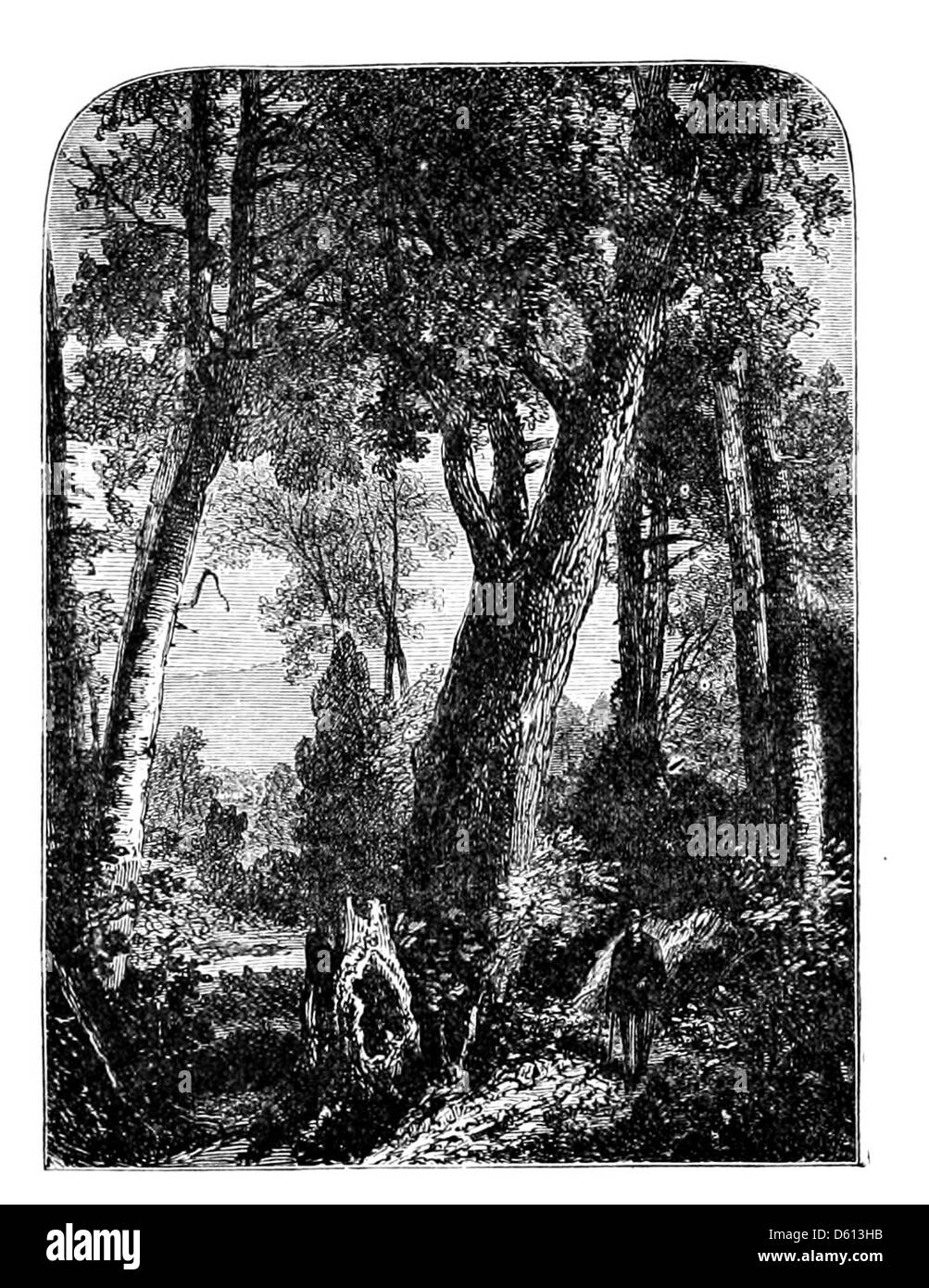Cette anthologie de 1876, 'A Festival of Song', présente des œuvres évocatrices de certains des plus grands poètes de la langue anglaise. L'un de ces poèmes explore la beauté mystérieuse d'une clairière forestière, remplie de mystère et d'attrait. Banque D'Images