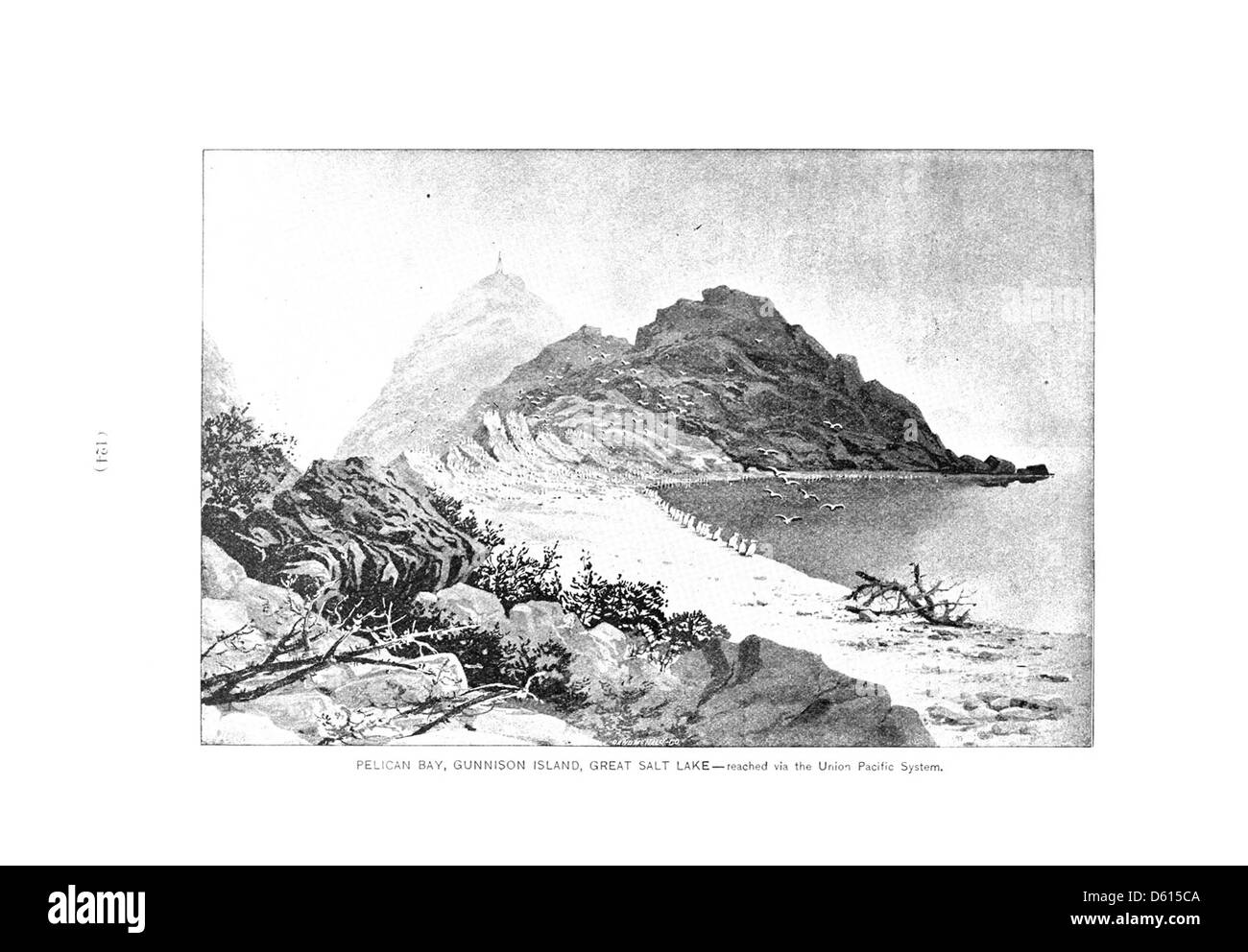 Ce guide de 1891 met en évidence les stations balnéaires de l'Ouest accessibles via le réseau ferroviaire de l'Union Pacific, en se concentrant sur des destinations telles que Great Salt Lake, Gunnison Island et Pelican Bay. Ces lieux ont été promus pour leurs bienfaits pour la santé et la beauté pittoresque, offrant un mélange de loisirs et de nature. Banque D'Images