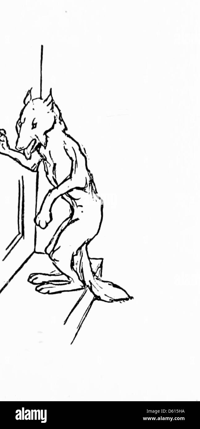 Cette illustration tirée de 'A Child's Primer of Natural History' (1899) représente un loup, en se concentrant sur son anatomie et ses caractéristiques, adapté aux jeunes apprenants intéressés par la vie animale. Banque D'Images