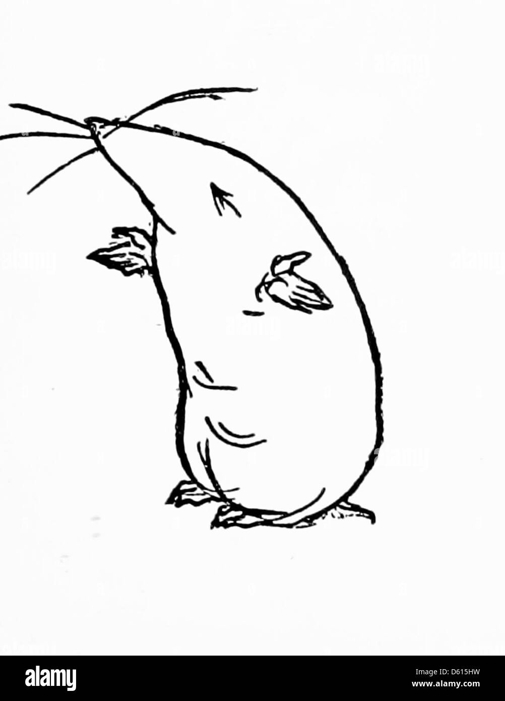 Illustration tirée de l'amorce de 1899 sur l'histoire naturelle montrant une taupe. Cette image éducative initie les enfants au rôle de la taupe dans la nature, en se concentrant sur ses habitudes d'enfouissement et sa petite taille, caractéristique de l'espèce. Banque D'Images