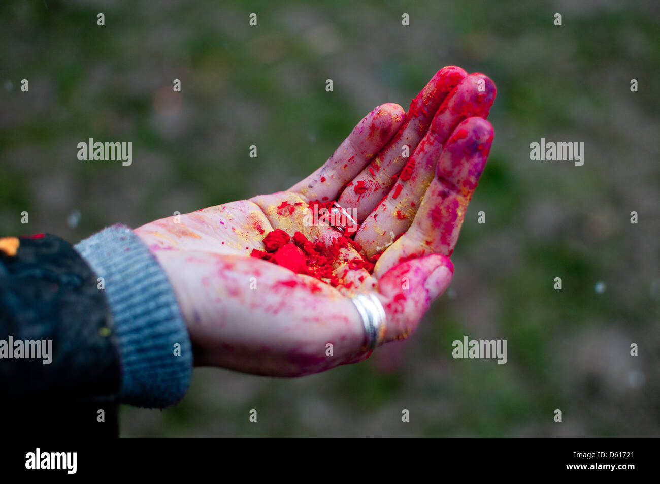 Dans la main de Twickenham Middlesex UK Festival Holi Banque D'Images