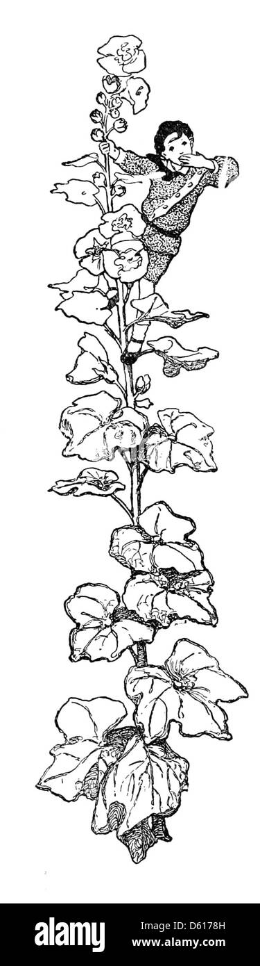 Cette illustration de 1905 tirée de 'jardin d'enfants de versets' de Robert Louis Stevenson montre un hollyhock, une fleur commune de jardin, symbolisant la simplicité et la beauté de la nature à travers la perspective d'un enfant. Banque D'Images
