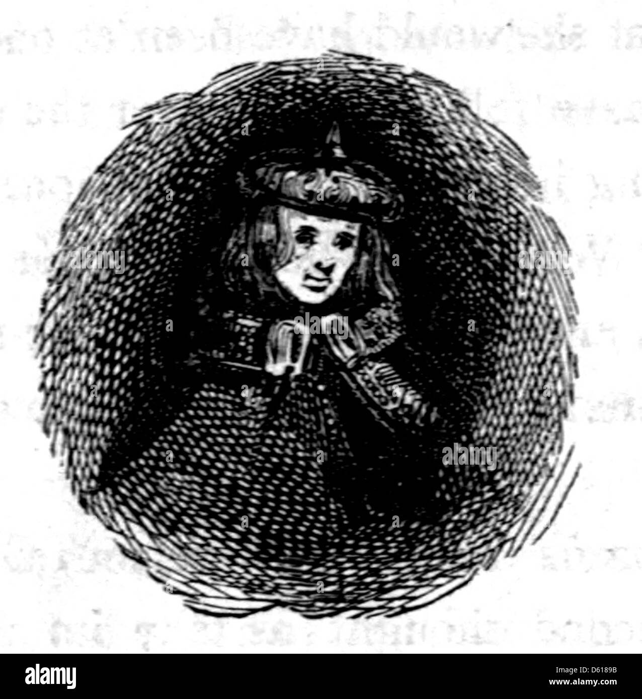 Une illustration de la bibliothèque de fées de l'enfant, une collection de contes de fées pour enfants. L'image représente probablement l'un des personnages ou scènes classiques de conte de fées qui font partie de la littérature pour enfants depuis des siècles. Banque D'Images