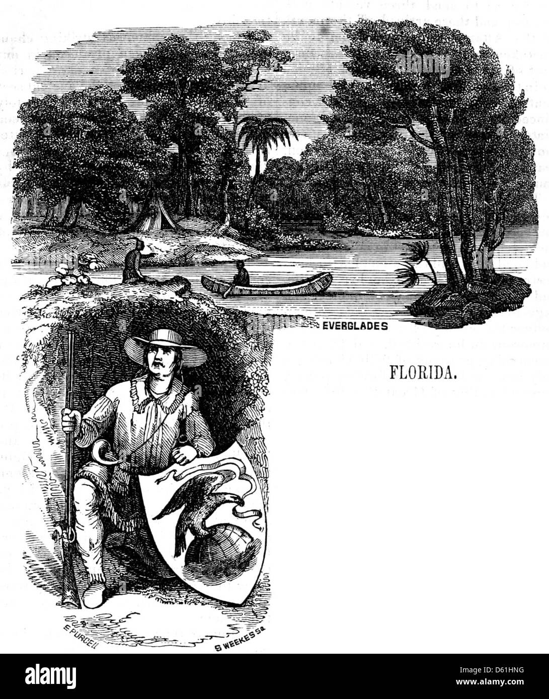 Cette illustration de 1860 représente les Everglades de Floride, mettant en évidence l'écosystème unique et les ressources naturelles de cette région aux États-Unis. Banque D'Images