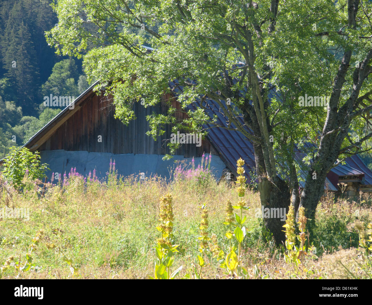 Les pres Saint Sorlin,plans,haute savoie,France Banque D'Images