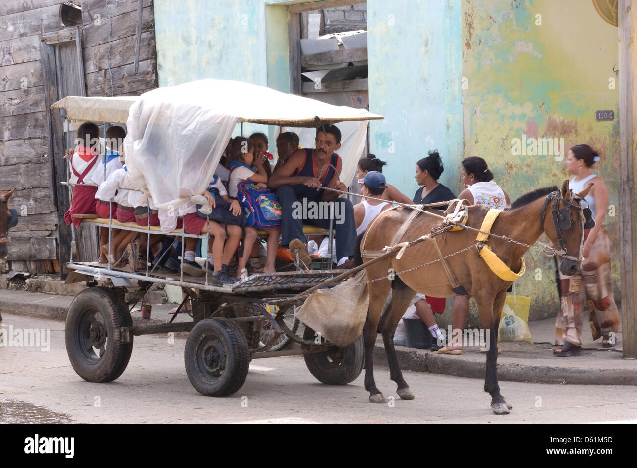 Baracoa : local taxi à cheval Banque D'Images