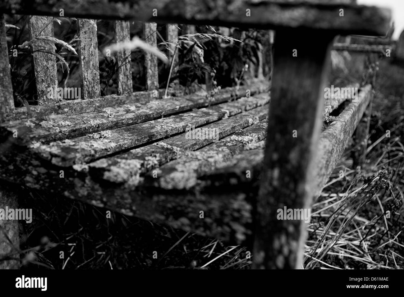 Un vieux banc en bois. Banque D'Images