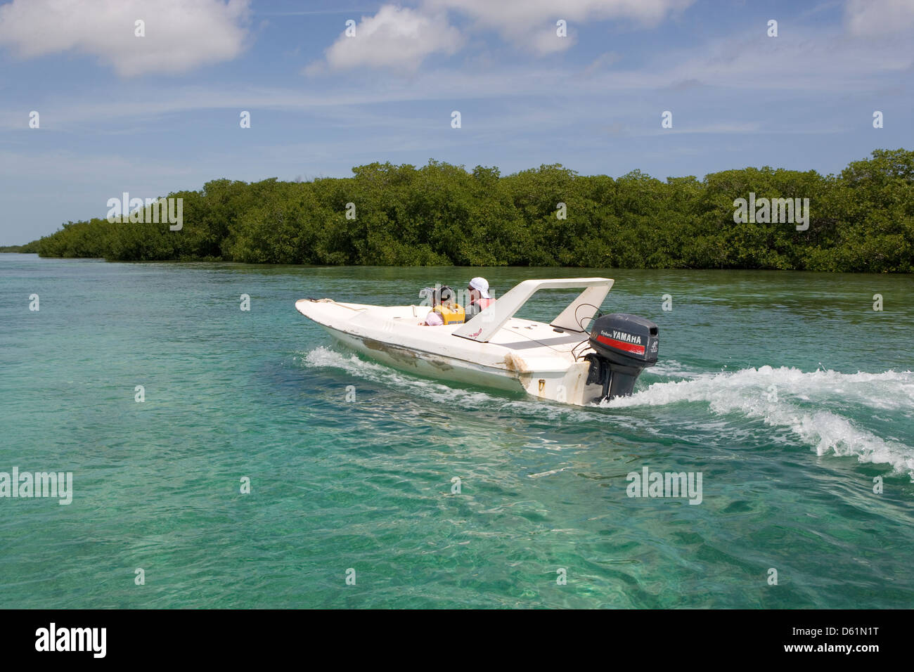 JARDINES del Rey : jungle tour à travers la mangrove en bateau Banque D'Images