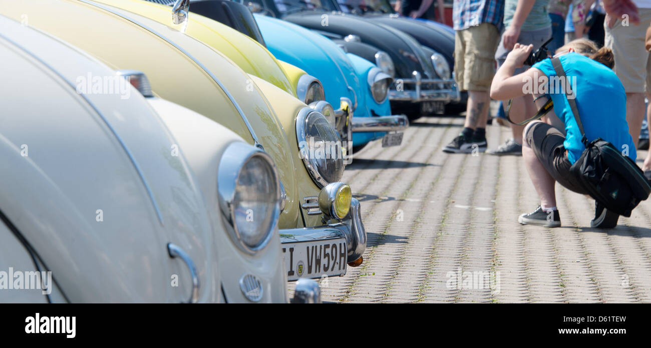 De nombreux bugs VW s'asseoir à la foire de Hanovre (Allemagne), 01 mai 2012. Pour la 29e fois, quelques milliers de personnes se sont réunis à Hanovre pour afficher leurs véhicules historiques. Photo : JOCHEN LUEBKE Banque D'Images