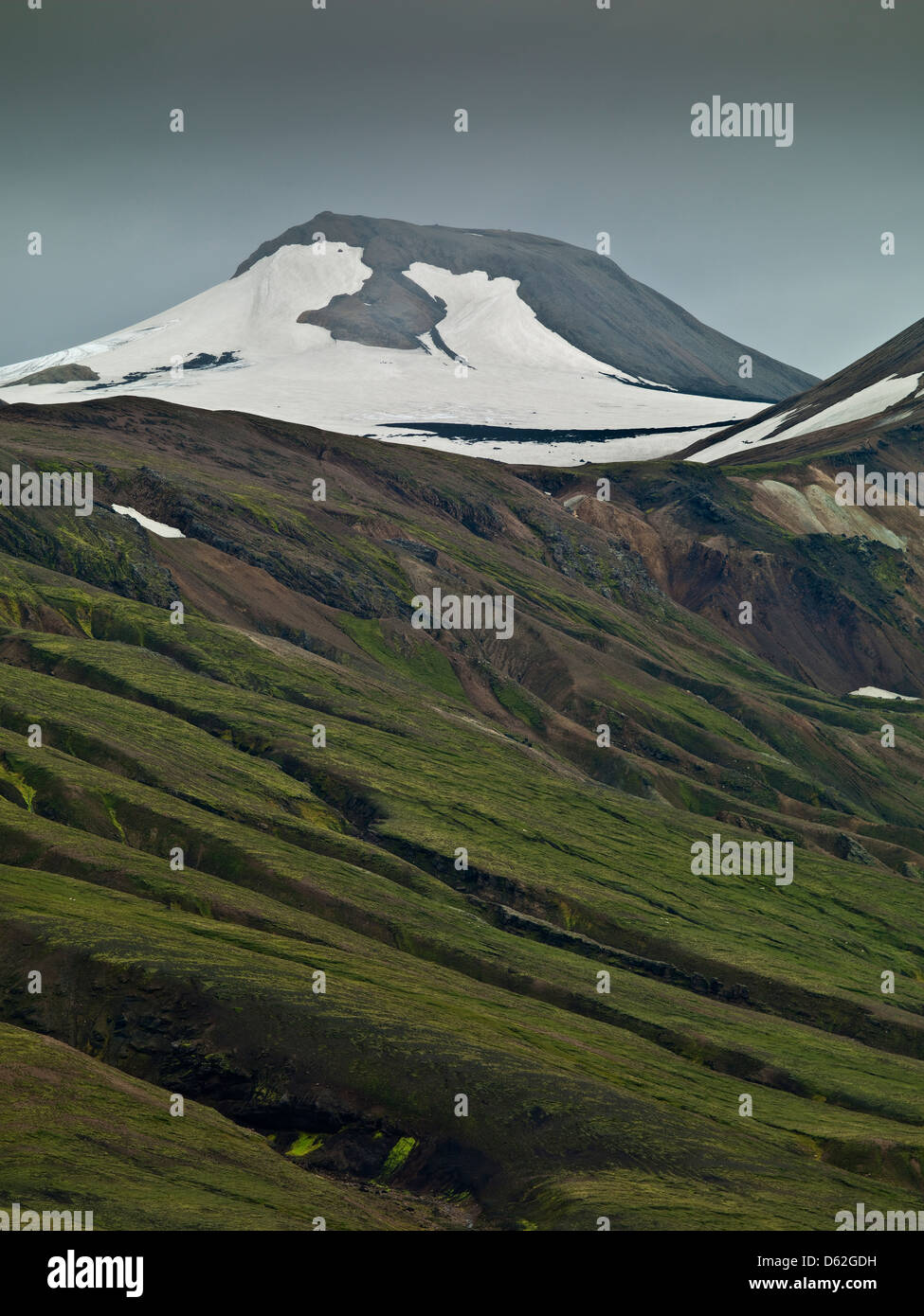 Paysage avec Moss et Mt. Kaldaklofsjoll, Côte Sud, Islande Banque D'Images
