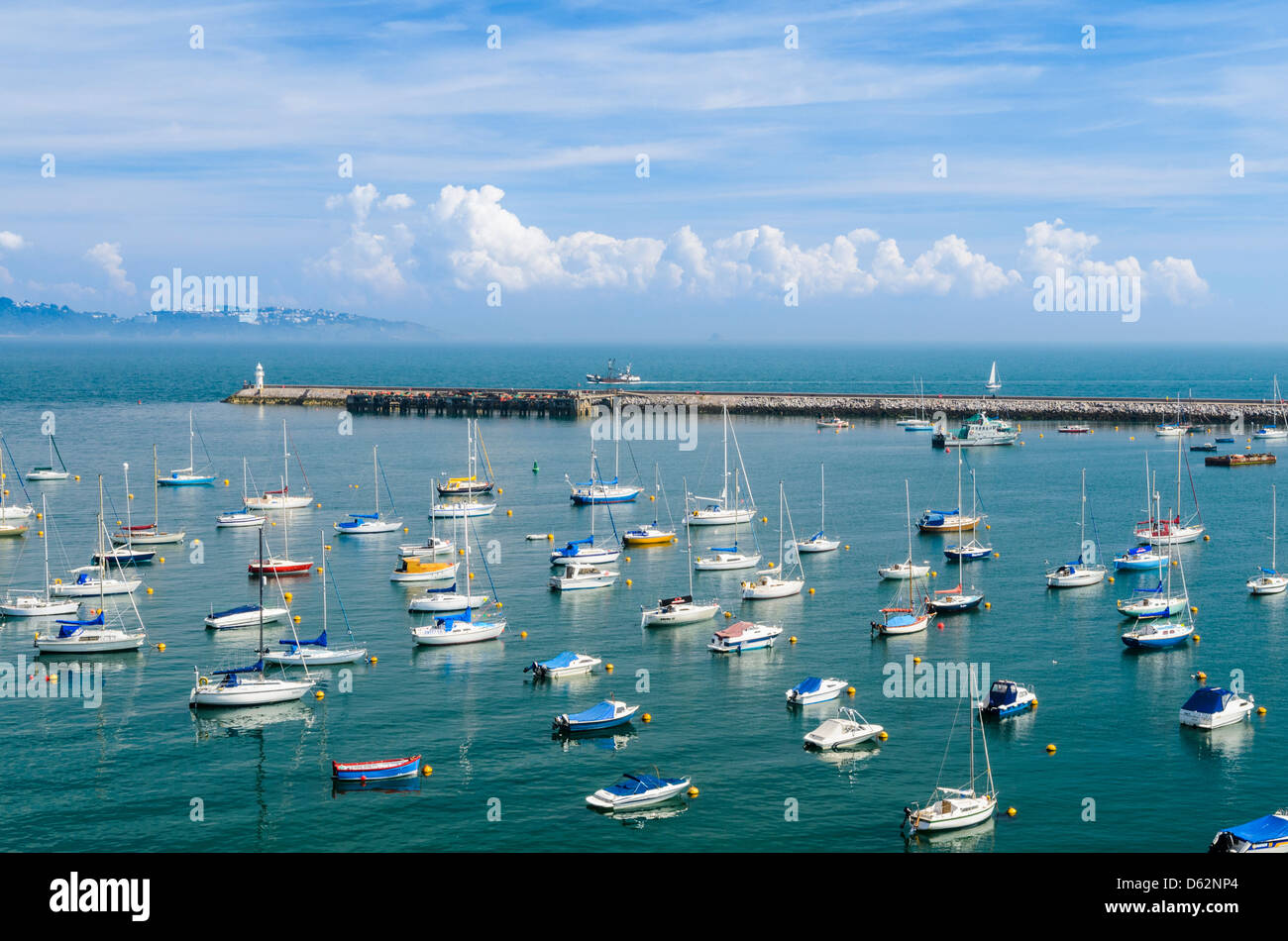 Vue sur la marina à Brixham et Torbay, dans le Devon, Angleterre. Banque D'Images