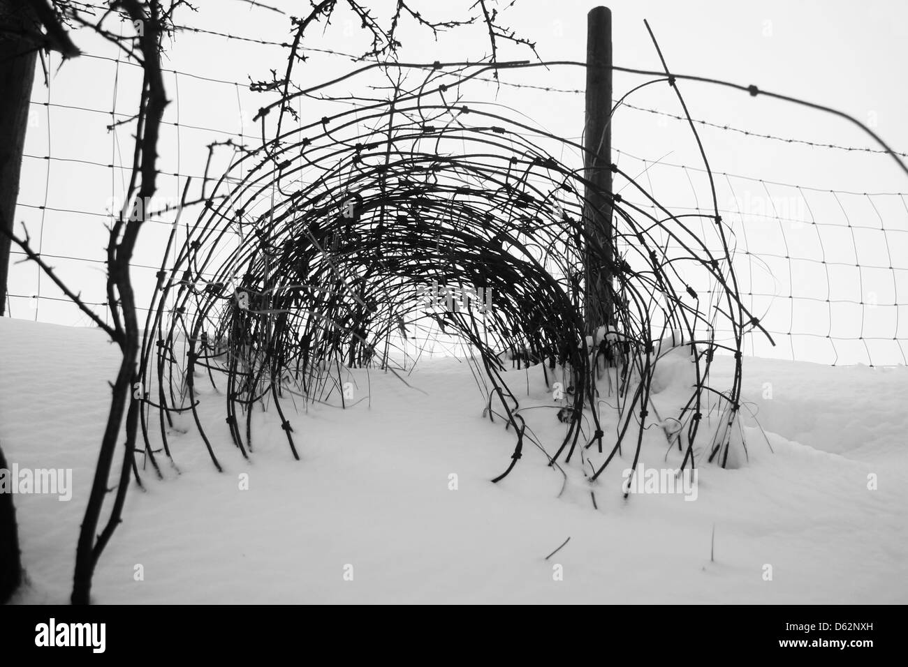 Tunnel de fil dans la neige Banque D'Images