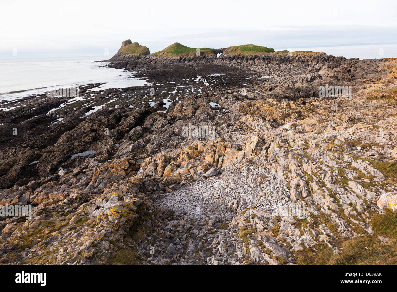 Les rochers à marée basse sur la tête du ver, Rhossili, Gower, Pays de Galles, Royaume-Uni Banque D'Images