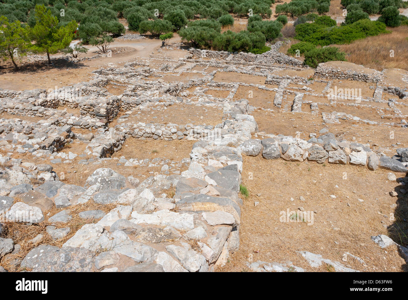Gournia Ruines de. Crète, Grèce Banque D'Images