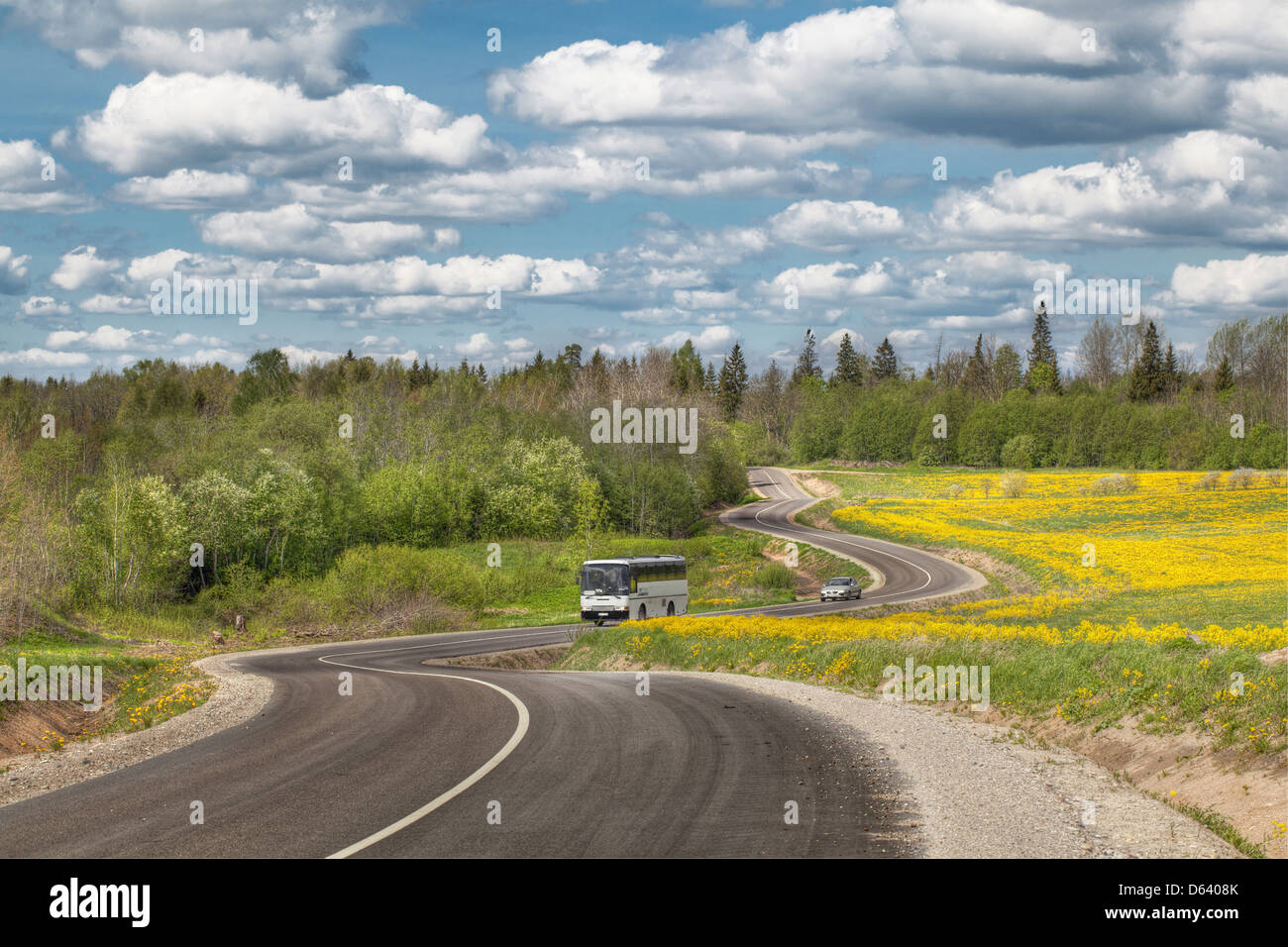 Route à travers le pays et près de la forêt Banque D'Images