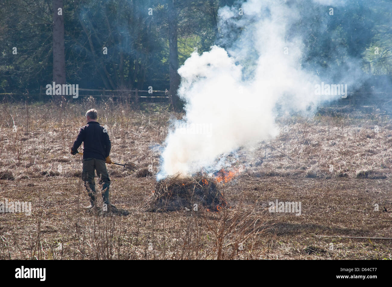 La gestion des terres ; la combustion de paille prairie. Un petit tas de paille, sur le feu, avec des flammes orange et volutes de fumée. Banque D'Images
