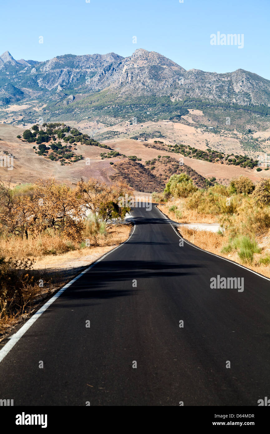 Route asphaltée vers les montagnes d'Andalousie Banque D'Images