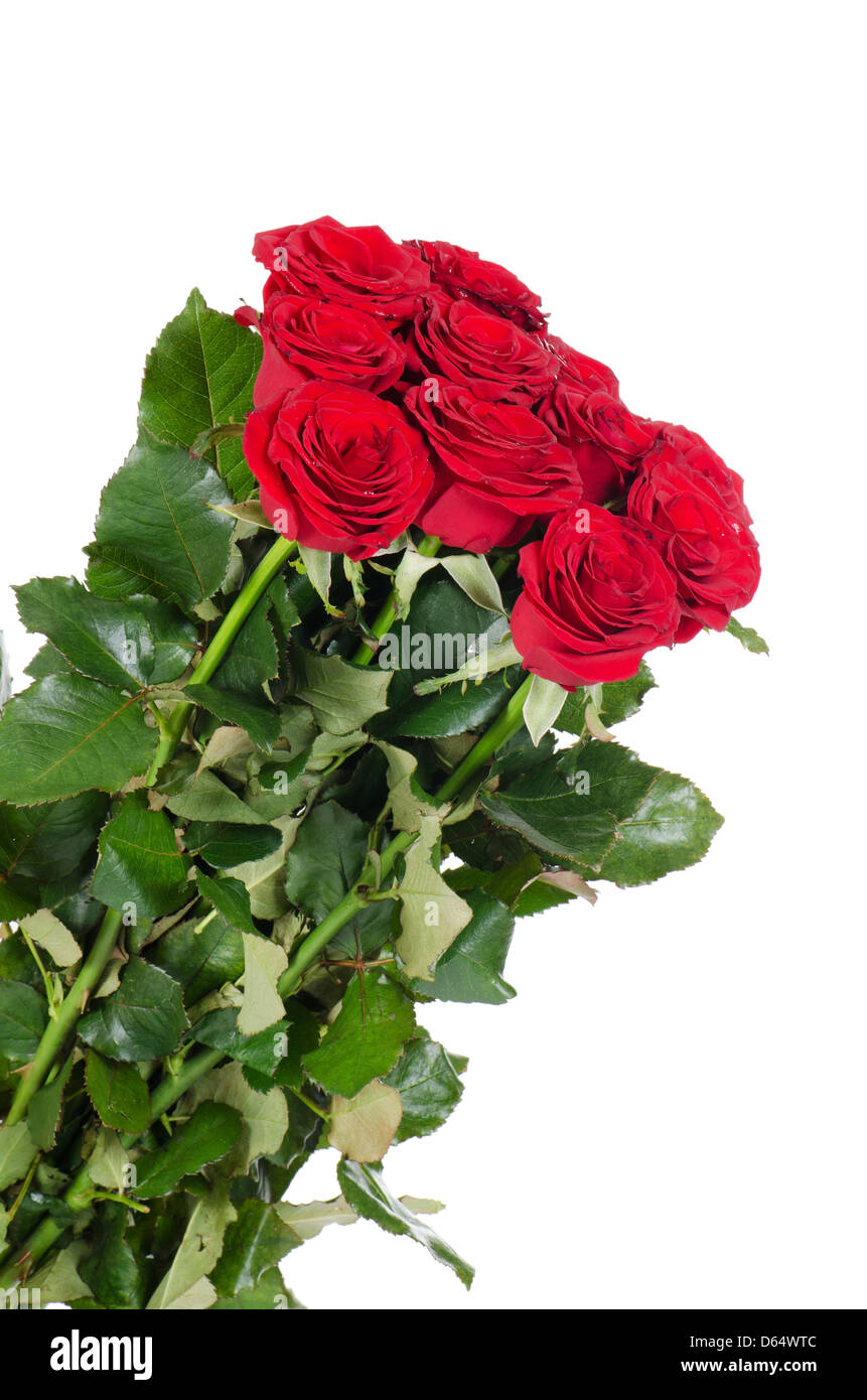 Bouquet de roses rouges isolé Banque D'Images