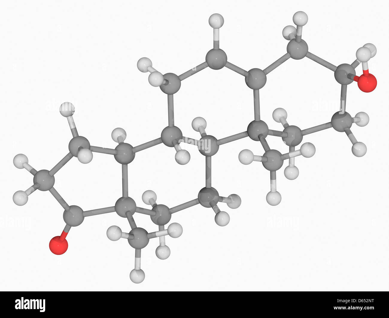 Molécule de l'hormone Prasterone Banque D'Images