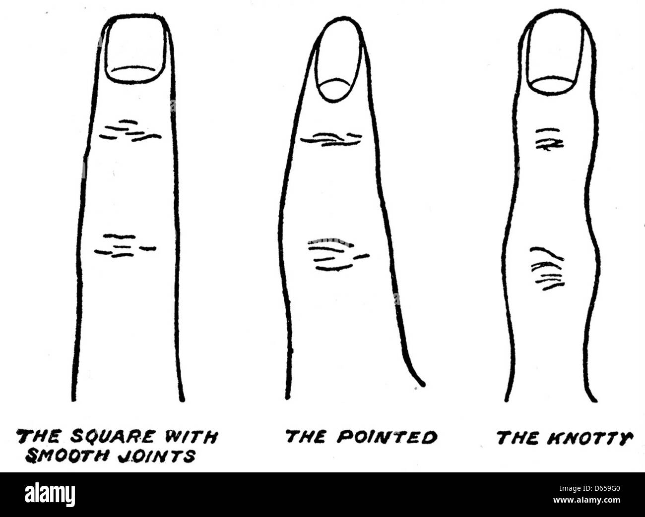 Une illustration du domaine public montrant une main pour la palmistie, utilisée dans diverses interprétations de la diversion de fortune basée sur les lignes et les montures sur la paume. L'image est attribuée à Cheiro, un praticien célèbre dans ce domaine. Banque D'Images