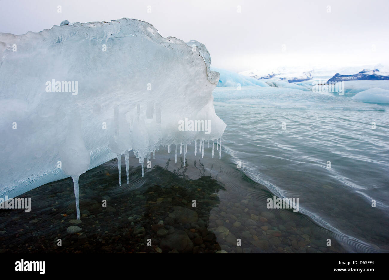Un morceau de glace fondante dans le lagon de jökulsárlón en Islande en hiver Banque D'Images