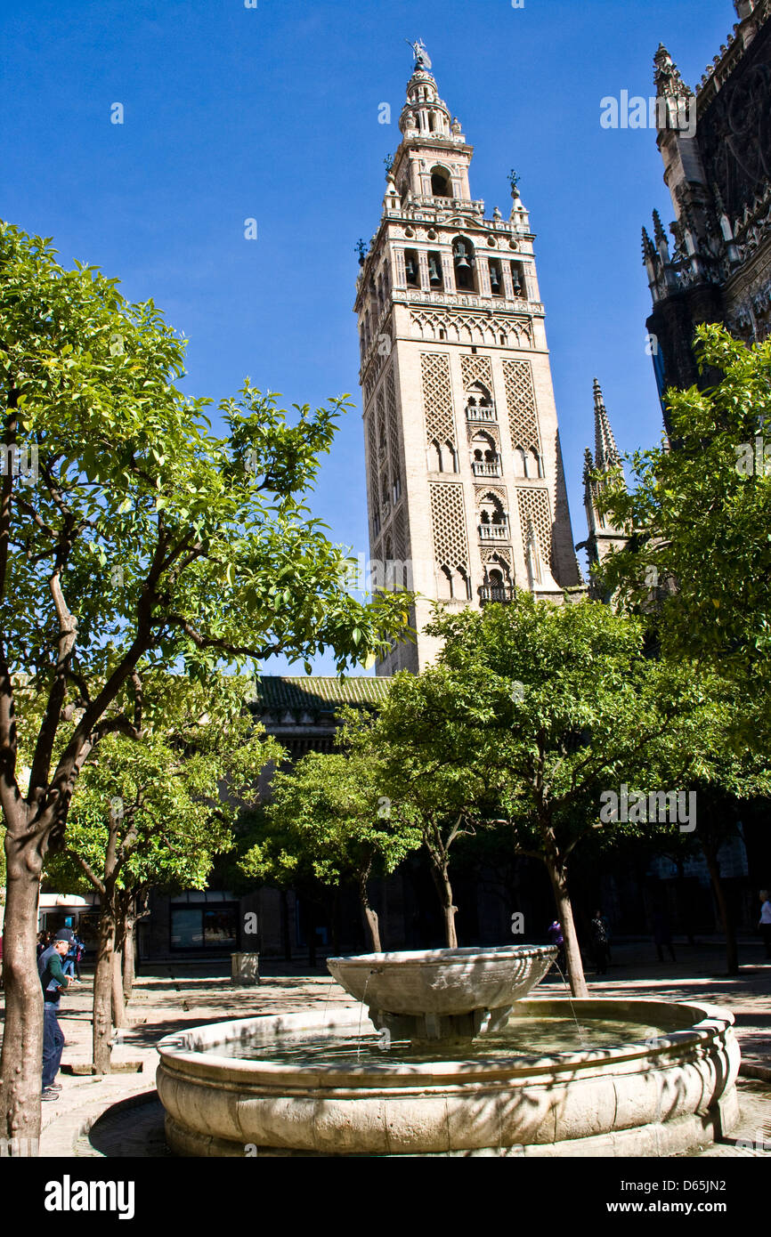 La Giralda de Patio de los Naranjos (Orange tree courtyard) site du patrimoine mondial de l'UNESCO Séville Andalousie Espagne Banque D'Images