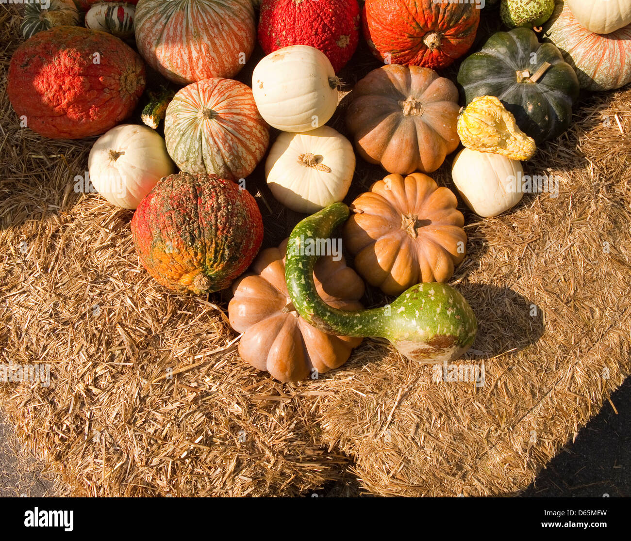 Affichage des textures colorées et les gourdes et des citrouilles en motif triangle Banque D'Images