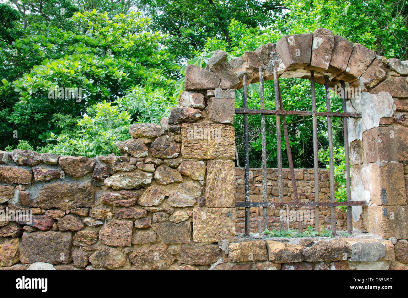 Territoire Français d'outre-mer, Guyane, îles du salut. L'île Royale, ruines de l'infâme colonie pénitentiaire. Banque D'Images