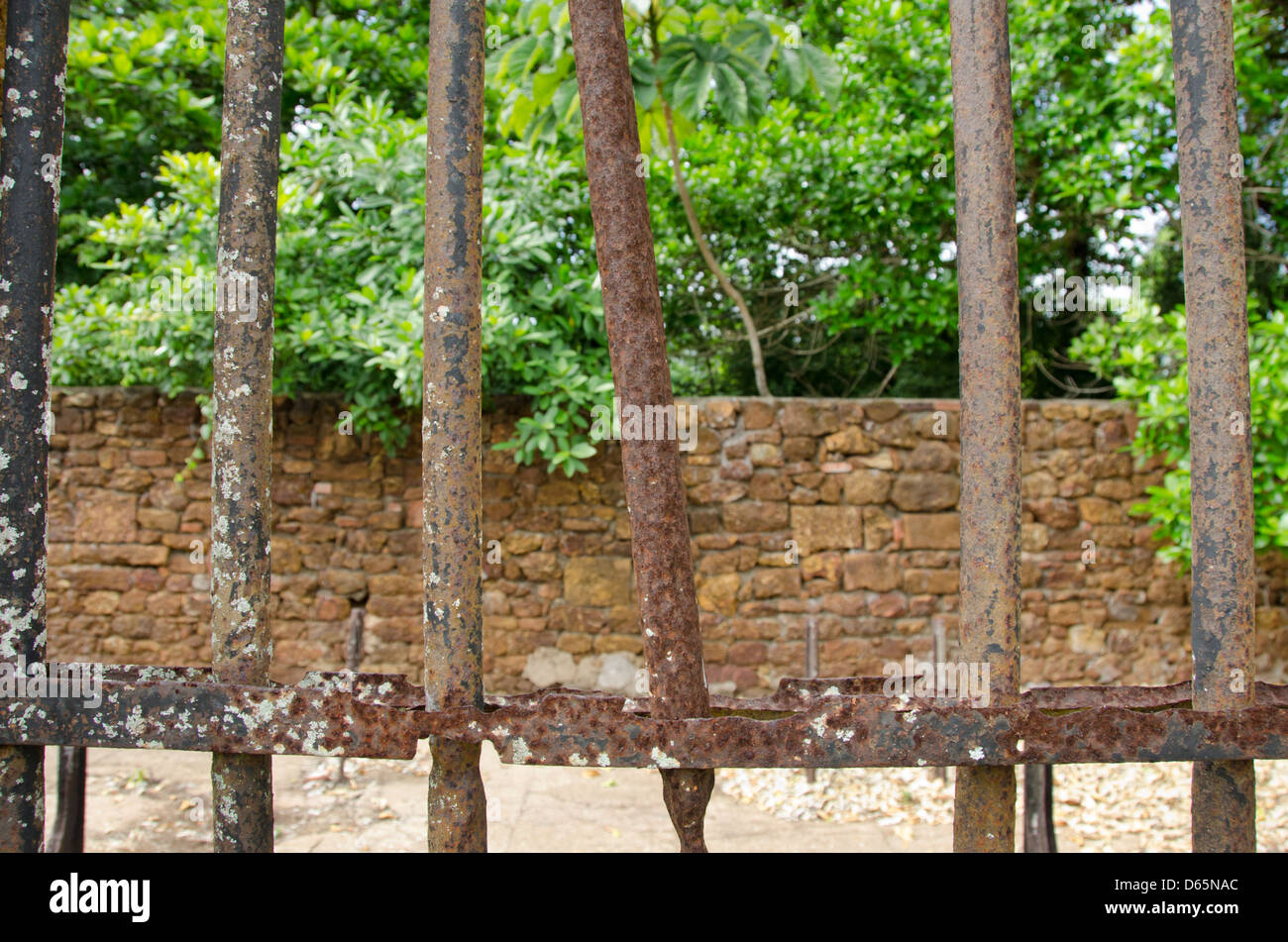 Territoire Français d'outre-mer, Guyane, îles du salut. L'île Royale, ruines de l'infâme colonie pénitentiaire. Banque D'Images