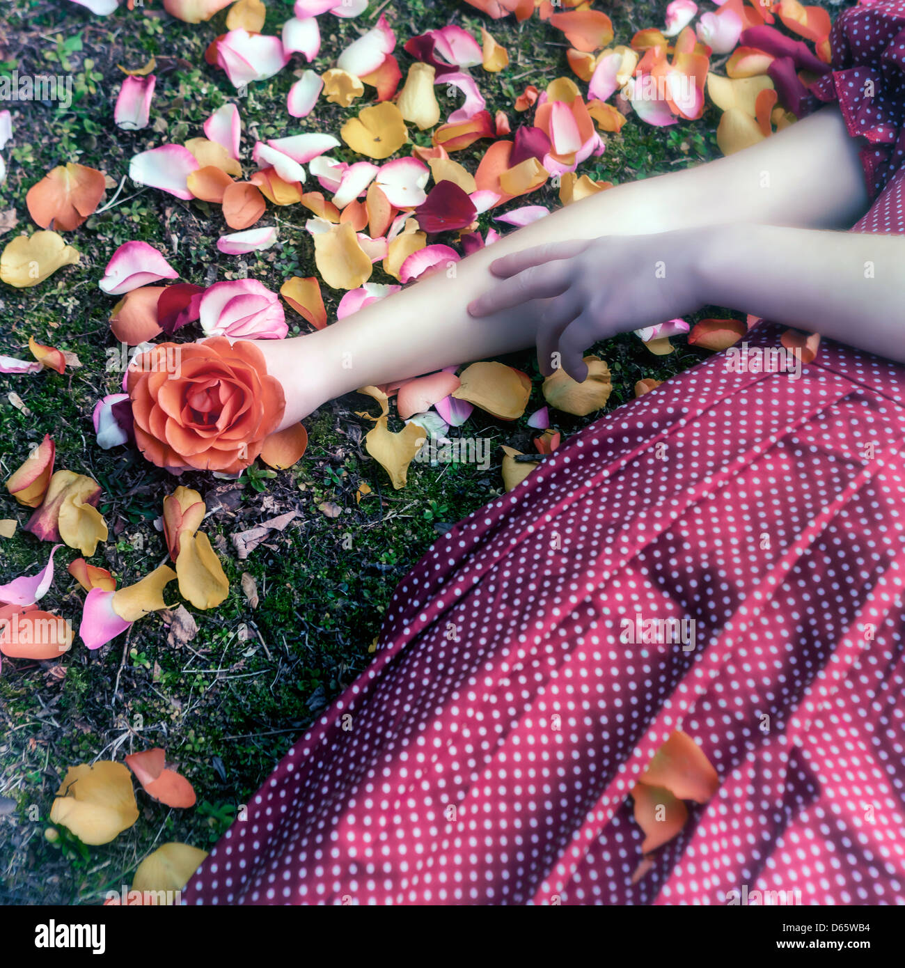 Une fille dans une robe rouge est allongé sur l'herbe dans entre les pétales, une rose dans sa main Banque D'Images