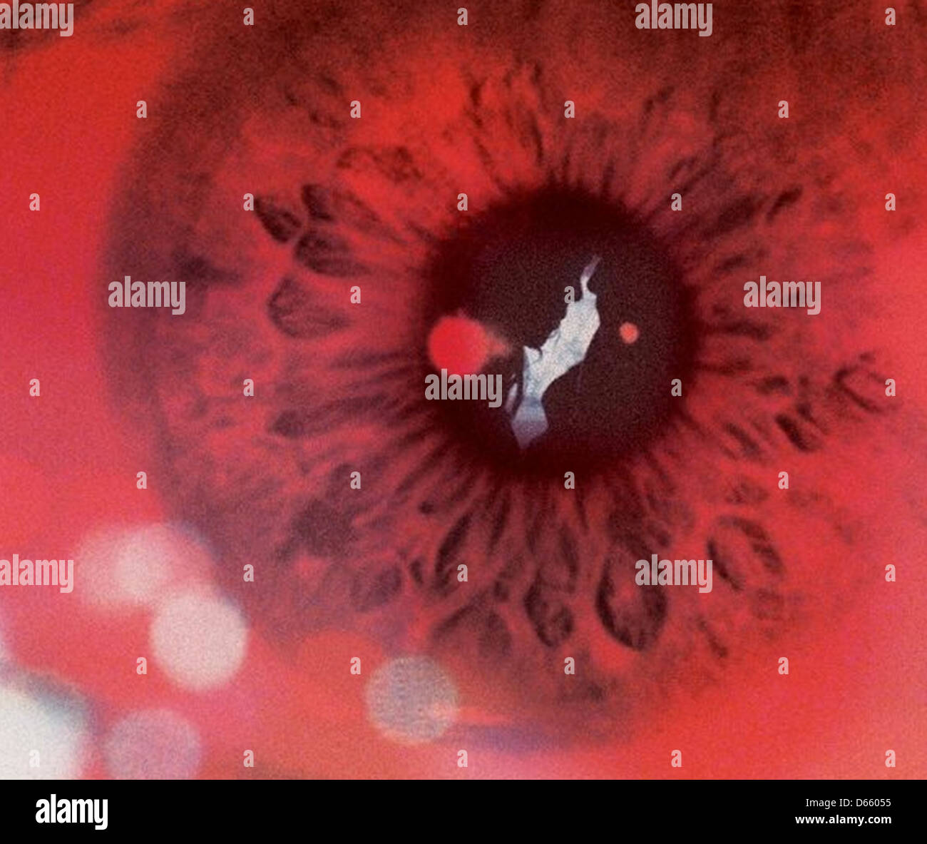 Image promotionnelle pour SIMON KILLER 2013 IFC Films Production Banque D'Images