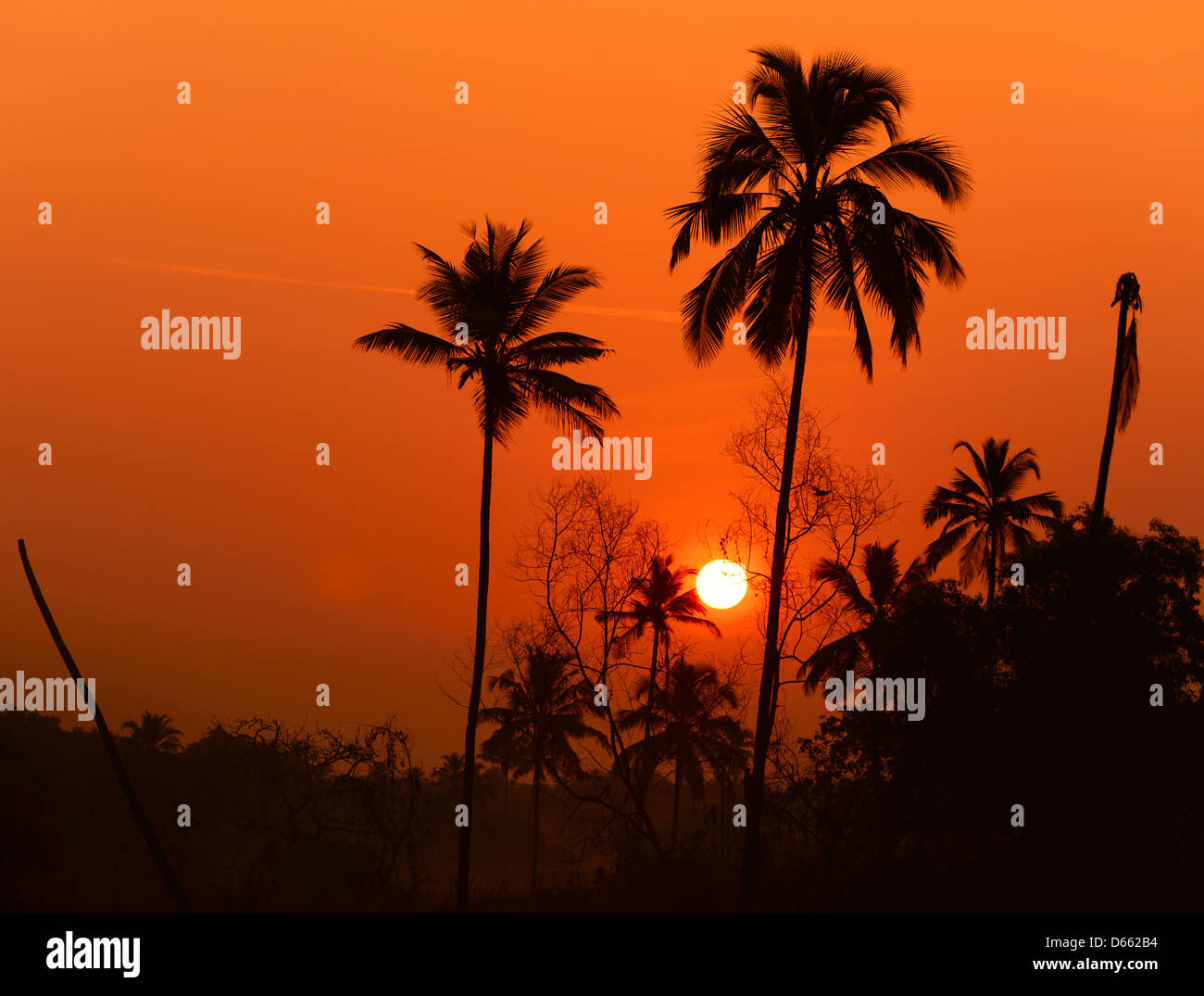 Lever du soleil dans le village de baguette au sud de Goa, Inde Banque D'Images
