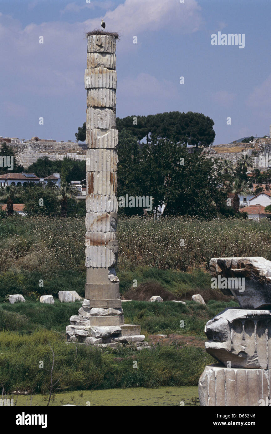 Vestiges de l'Artemision, Asasuluk derrière Tepesi, Selçuk, Turquie 000526 1830 Banque D'Images