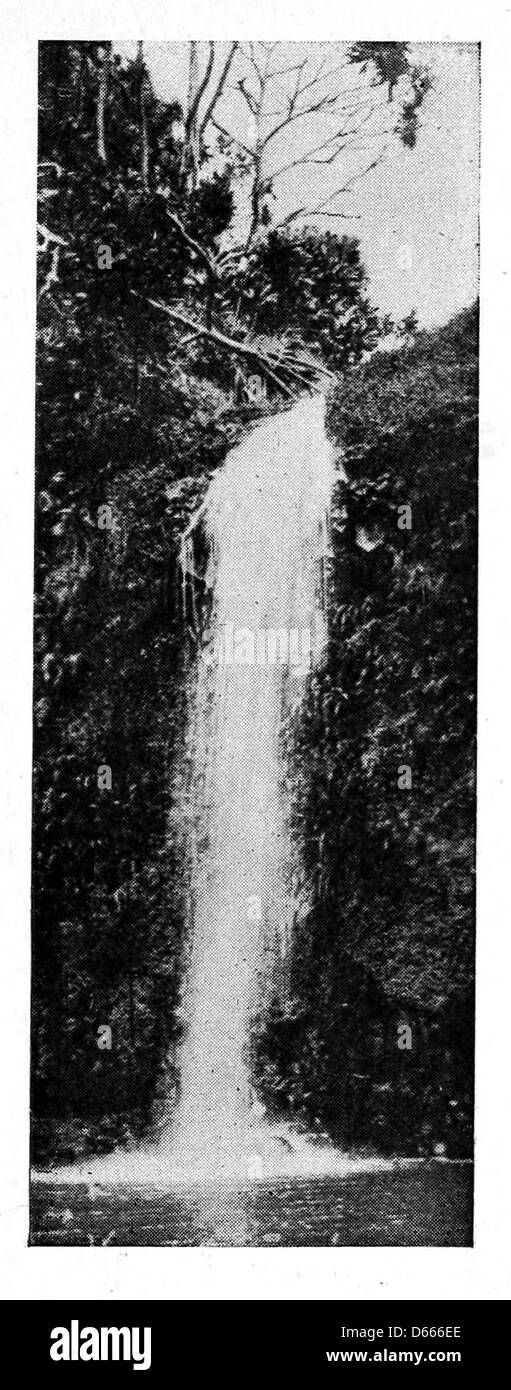 Une illustration de 1920 représentant une superbe cascade hawaïenne, capturant la beauté et la nature tropicale d'Hawaï, reflétant l'attrait de l'État en tant que destination touristique au début du XXe siècle. Banque D'Images