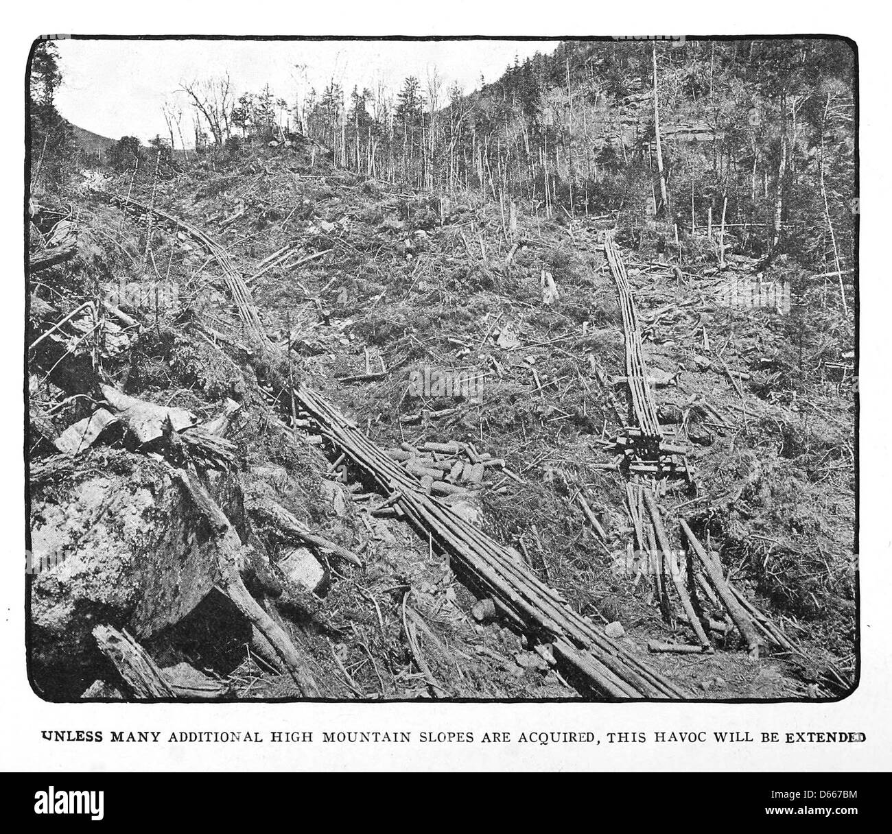 Cette proposition de 1922 décrit la création de parcs d'État à New York, y compris une émission d'obligations suggérée pour financement. Le plan met l'accent sur la préservation des ressources naturelles et la création d'espaces de loisirs publics dans l'État de New York. Banque D'Images