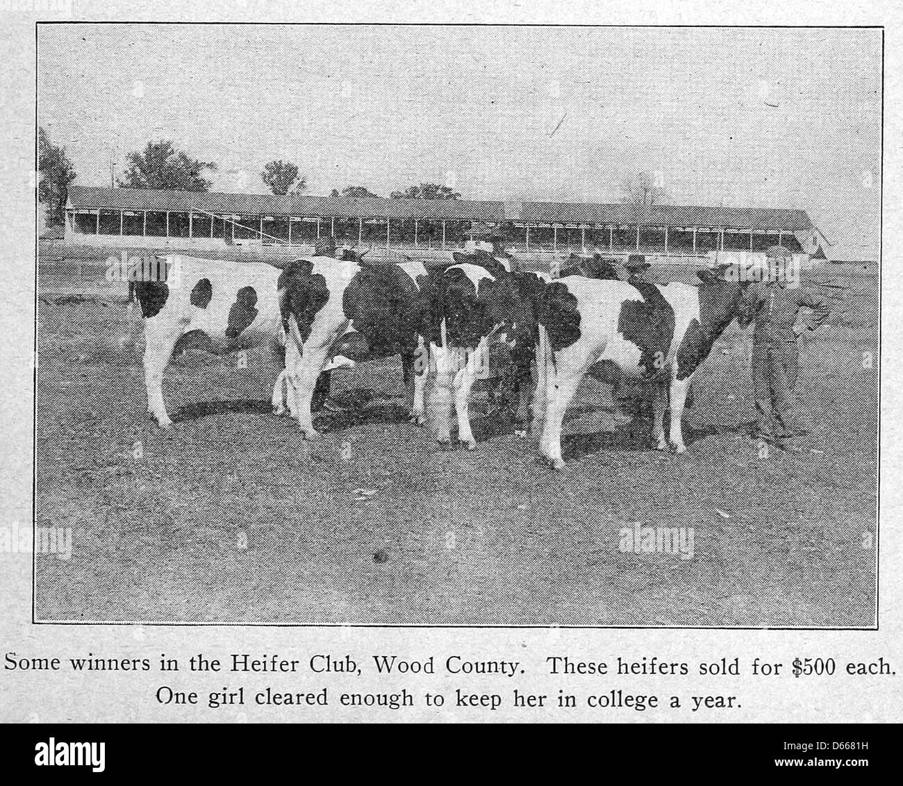 Une étude des conditions d'écoles rurales de l'Ohio histoire législative.. (1920) Banque D'Images