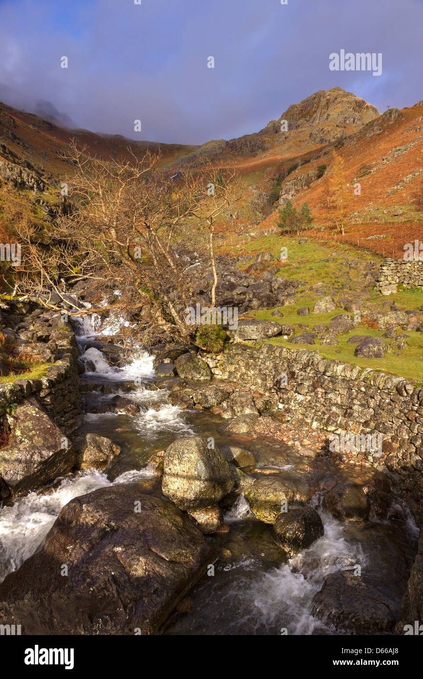 Tumbling ruisseau de montagne de Stickle Ghyll, Elterwater, Lake District, Cumbria. Angleterre, Royaume-Uni Banque D'Images