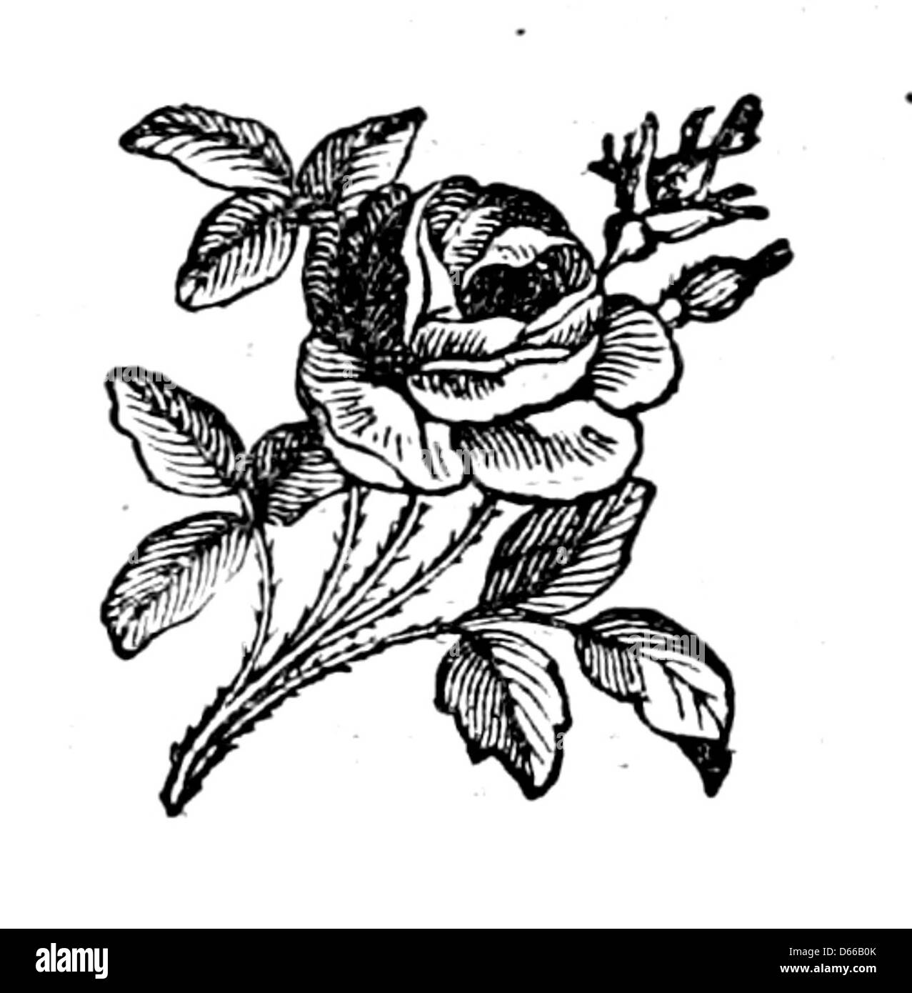 Une fleur en bordure de voie, et autres poèmes (1875) Banque D'Images