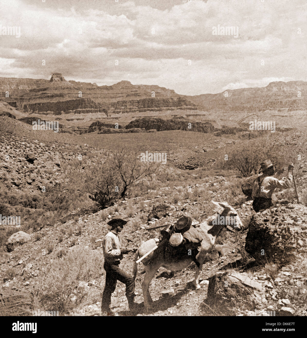 La prospection de l'or, Bright Angel Creek, grand canon de l'Arizona, 1903 Banque D'Images