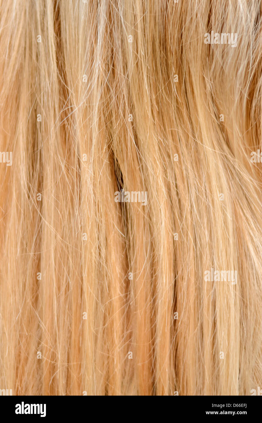 La texture des cheveux blonds Banque D'Images
