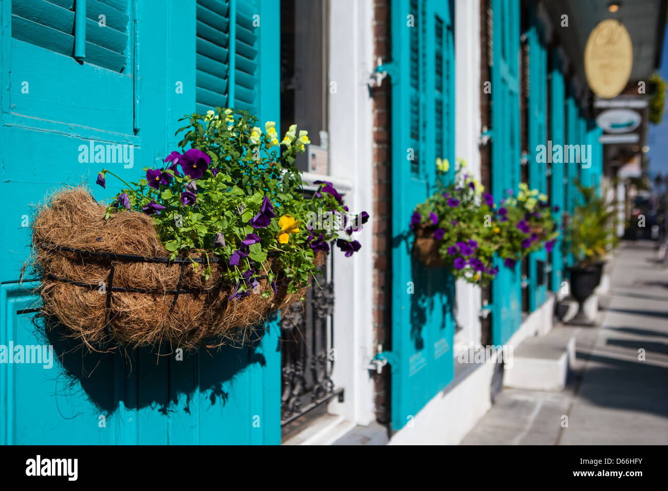 Dans des paniers de fleurs hang off shutter portes durant Mardi Gras à La Nouvelle Orléans, Louisiane, USA Banque D'Images