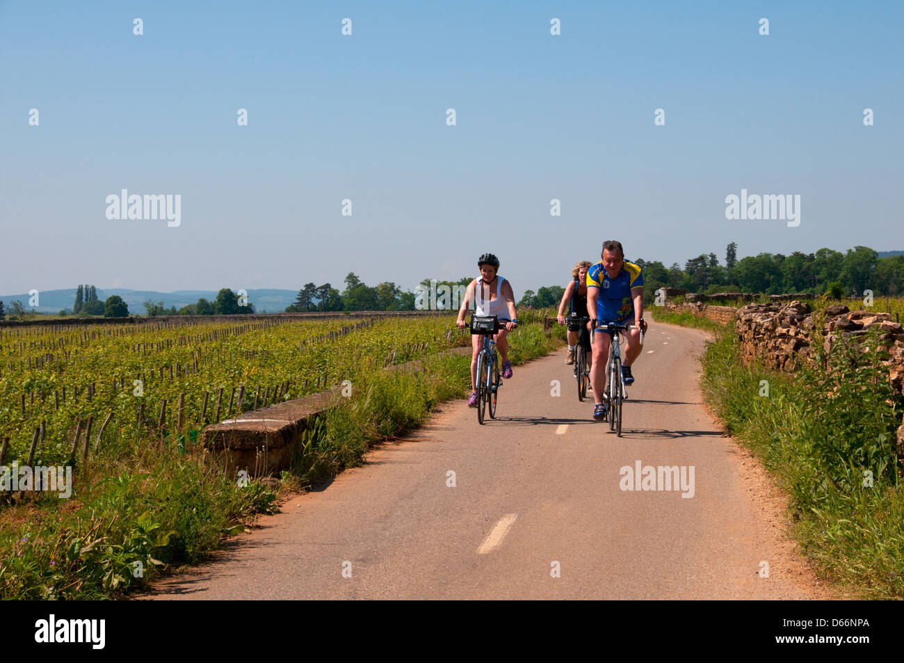 Les cyclistes autour de vignes Beaune Bourgogne France Banque D'Images