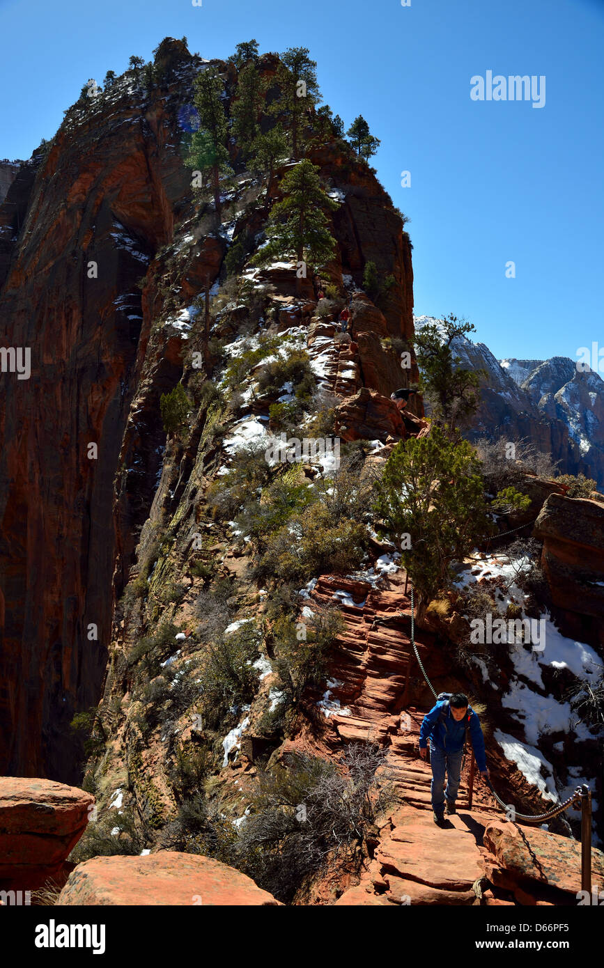 Les randonneurs de manœuvrer le Angels Landing Trail au-dessus de la crête de grès. Zion National Park, Utah, USA. Banque D'Images