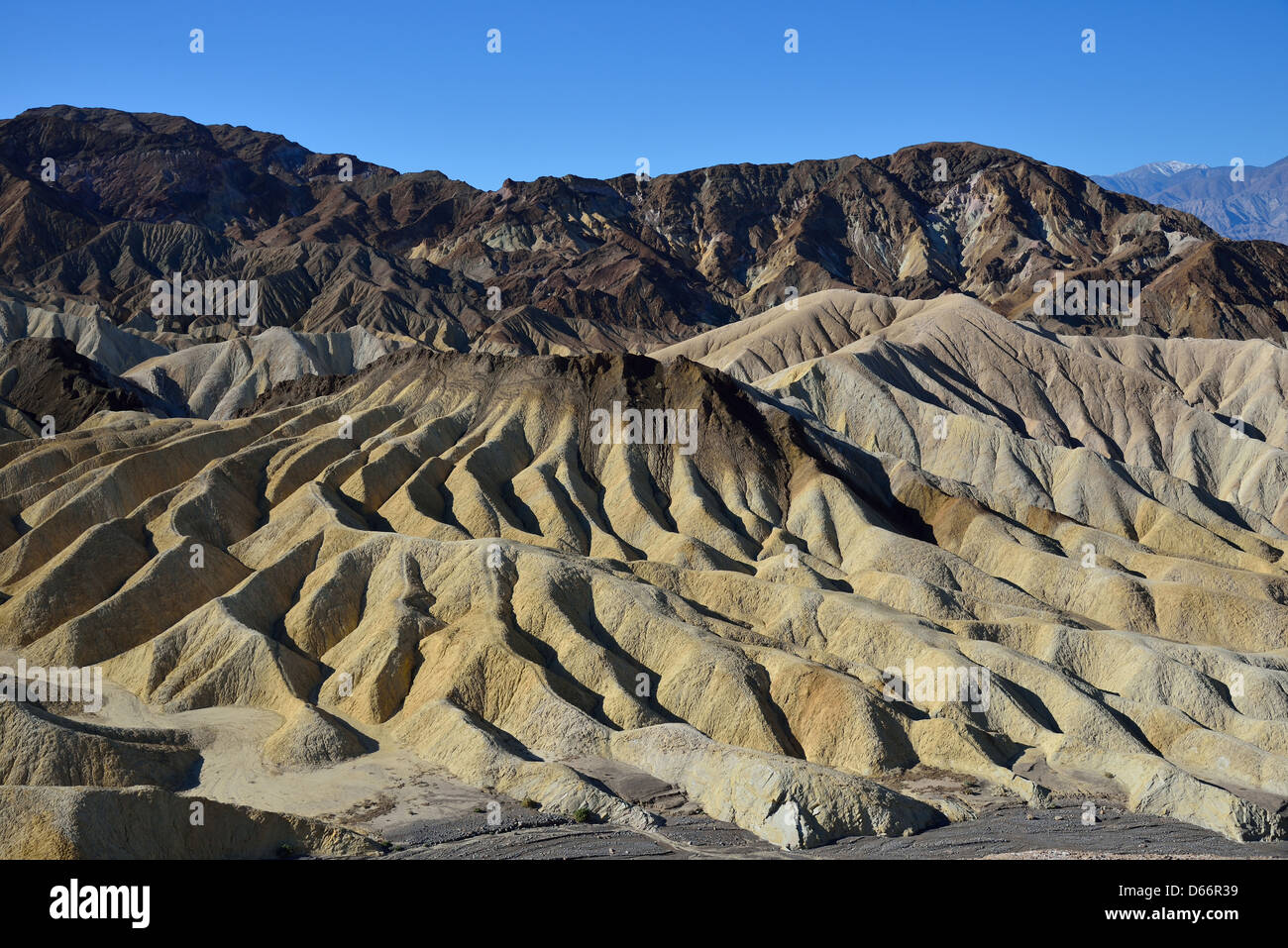 Voir l'érosion des ravins à sec à la Zabriskie Point. Death Valley National Park, California, USA. Banque D'Images